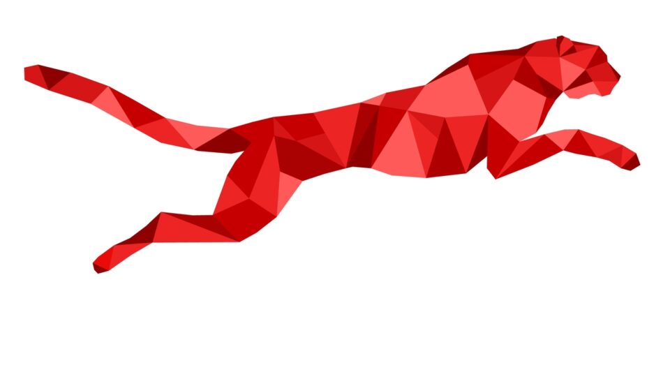 Grafika geparda – Gepard Biznesu 2010