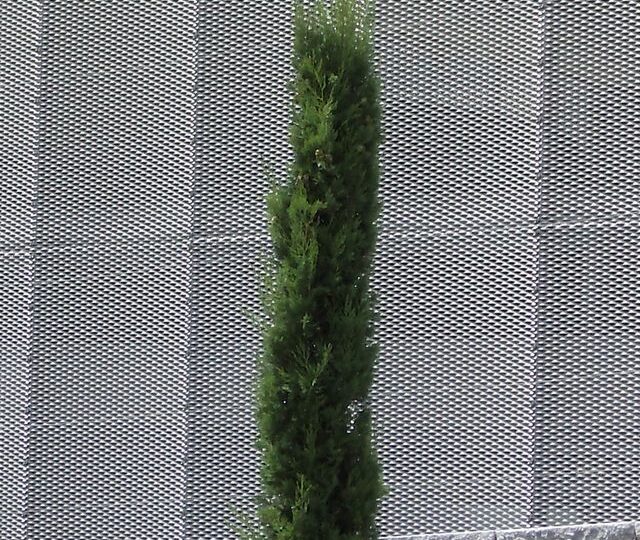 Siatka PerfoCassiopea na parkingu wielopoziomowym