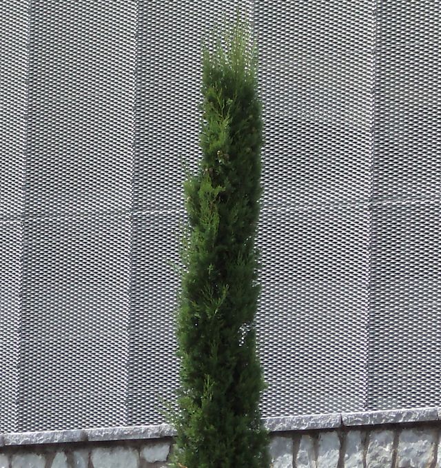 Siatka PerfoCassiopea na parkingu wielopoziomowym