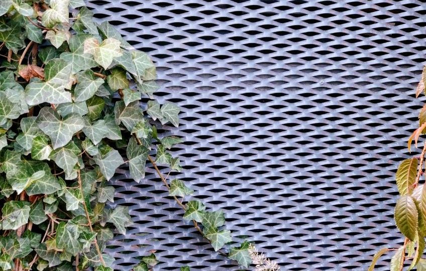 siatka fasadowa idealna pod pnącza